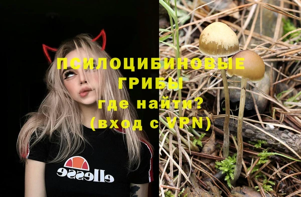 крисы Заволжье