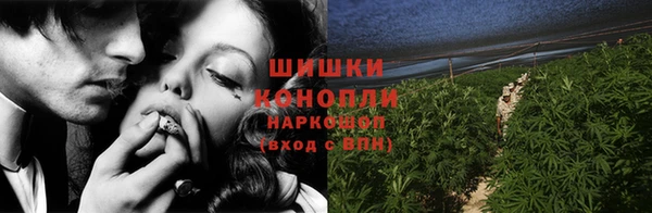 индика Зеленокумск